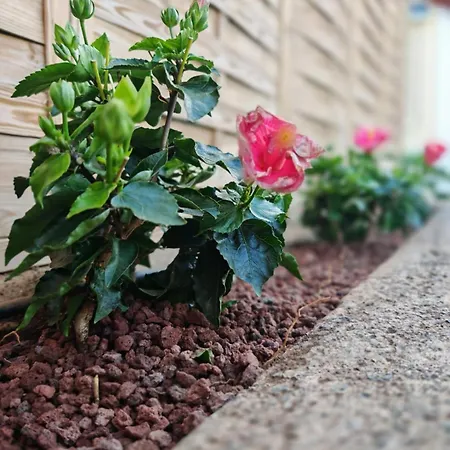 Apartamento Complejo Sun's Gardens -
